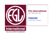 Logo FGL Internationl